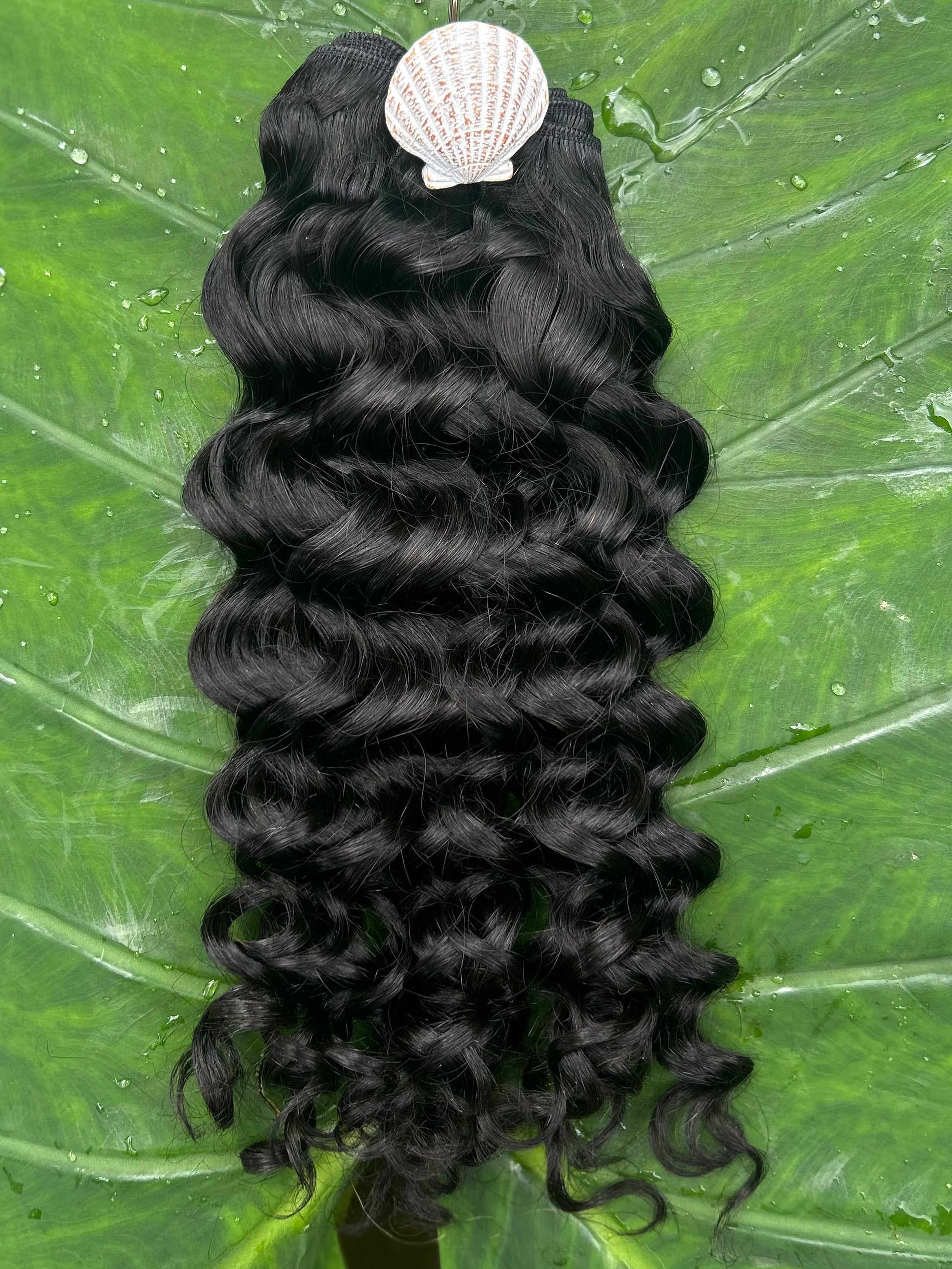 Nova Curl