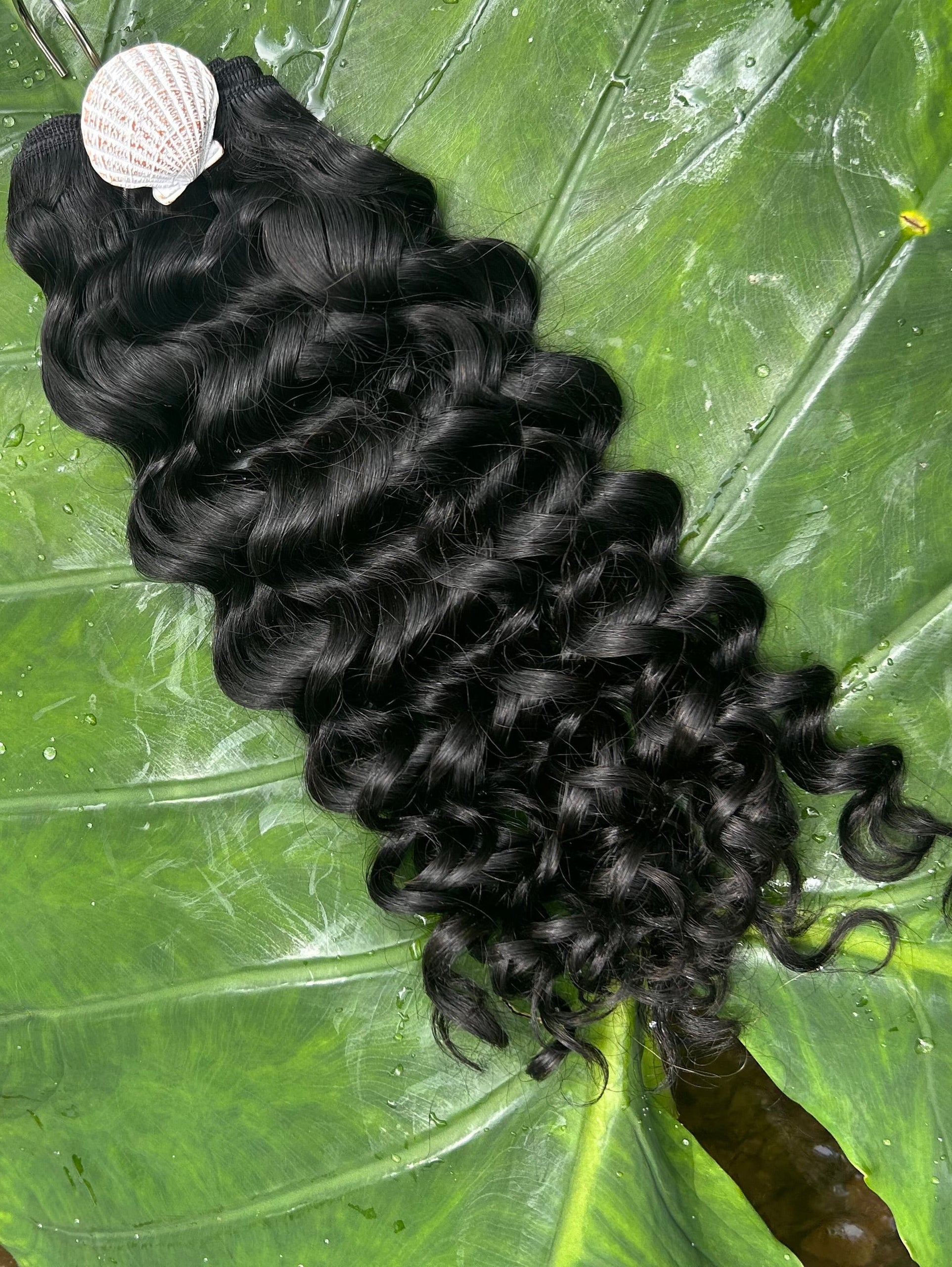 Nova Curl
