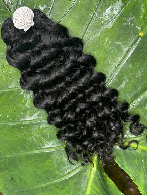 Nova Curl
