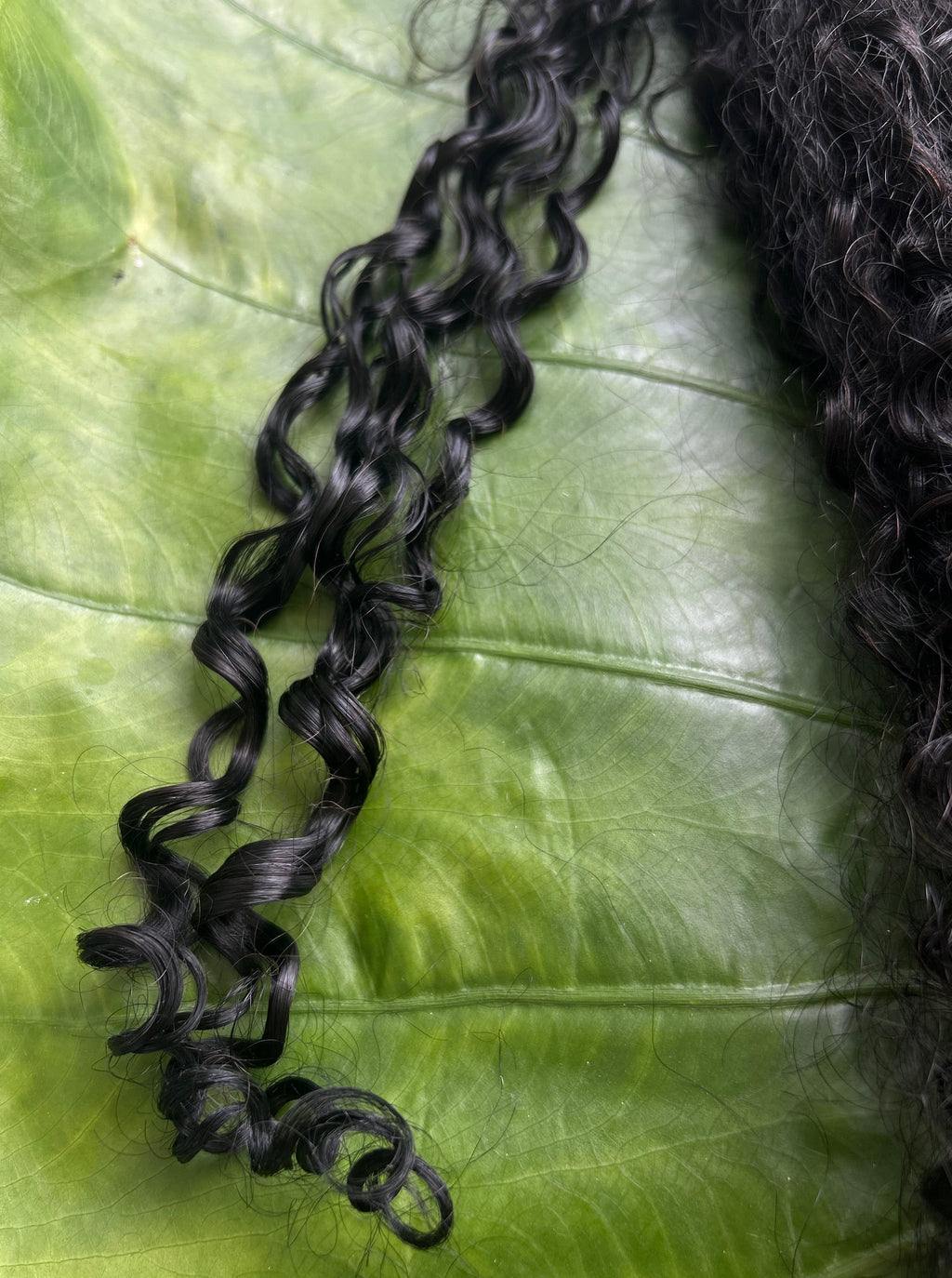 Pearl Curl